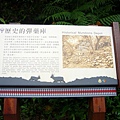 P1100140.JPG