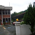 P1100170.JPG