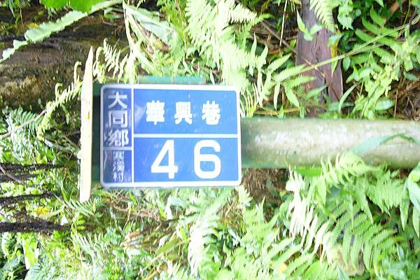 P1100180.JPG