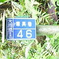 P1100180.JPG