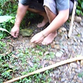 P1100189.JPG