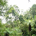 P1100190.JPG