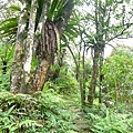 P1100191.JPG