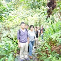 P1100194.JPG