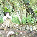 P1100196.JPG