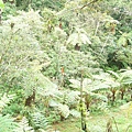 P1100198.JPG