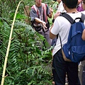 R0011856.JPG