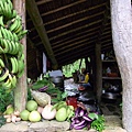 R0011868.JPG
