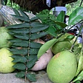 R0011930.jpg
