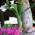 R0011936.jpg