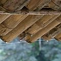 R0012004.jpg