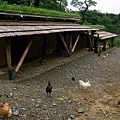R0012006.jpg