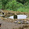 R0012007.jpg