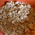 R0012018.jpg