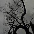 R0012038.jpg