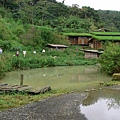 R0012042.jpg