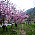nEO_IMG_P1100737