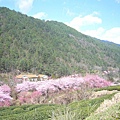 nEO_IMG_P1100781