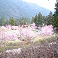 nEO_IMG_P1100783