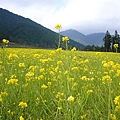 nEO_IMG_P1100681