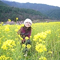 nEO_IMG_P1100694