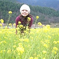 nEO_IMG_P1100697