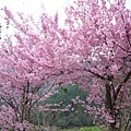 nEO_IMG_P1100712