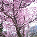 nEO_IMG_P1100717