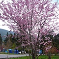 nEO_IMG_P1100726