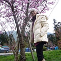 nEO_IMG_P1100730