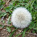 nEO_IMG_P1100732