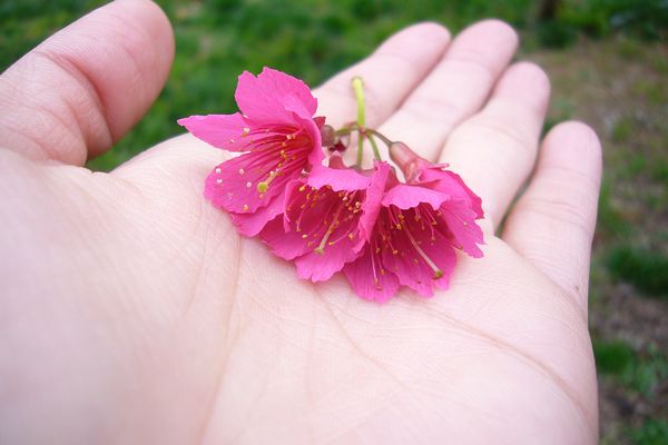nEO_IMG_P1100734