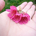 nEO_IMG_P1100734