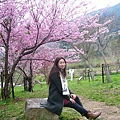 nEO_IMG_P1100738