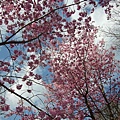 nEO_IMG_P1100762