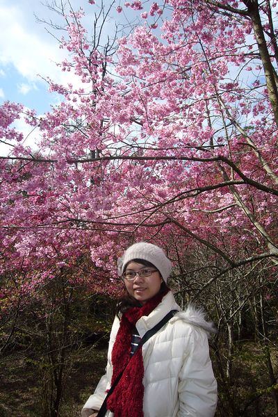 nEO_IMG_P1100764