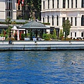 IMG_4852.jpg