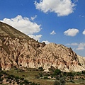 IMG_3940.jpg
