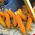 IMG_5164.jpg
