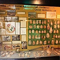 IMG_4365.jpg