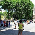 IMG_4697.jpg