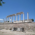 IMG_1910.jpg