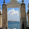 IMG_4994.jpg
