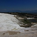 IMG_3108.jpg
