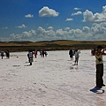 IMG_4307.jpg