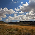 IMG_4276.jpg