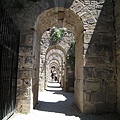 IMG_1923.jpg
