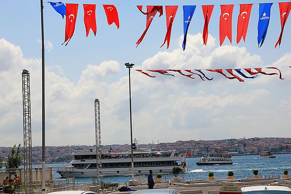 IMG_4782.jpg