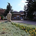 IMG_4466.jpg