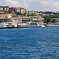 IMG_4842.jpg